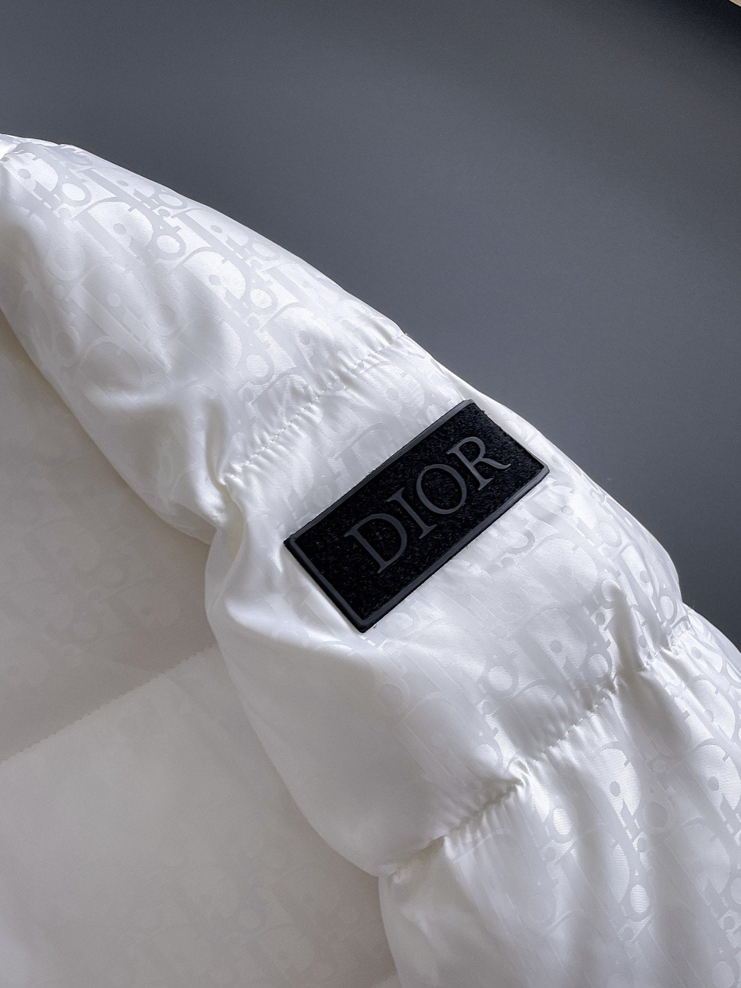 Dior 2024 FW Premium Down Jacket | Unisex | M–3XL
