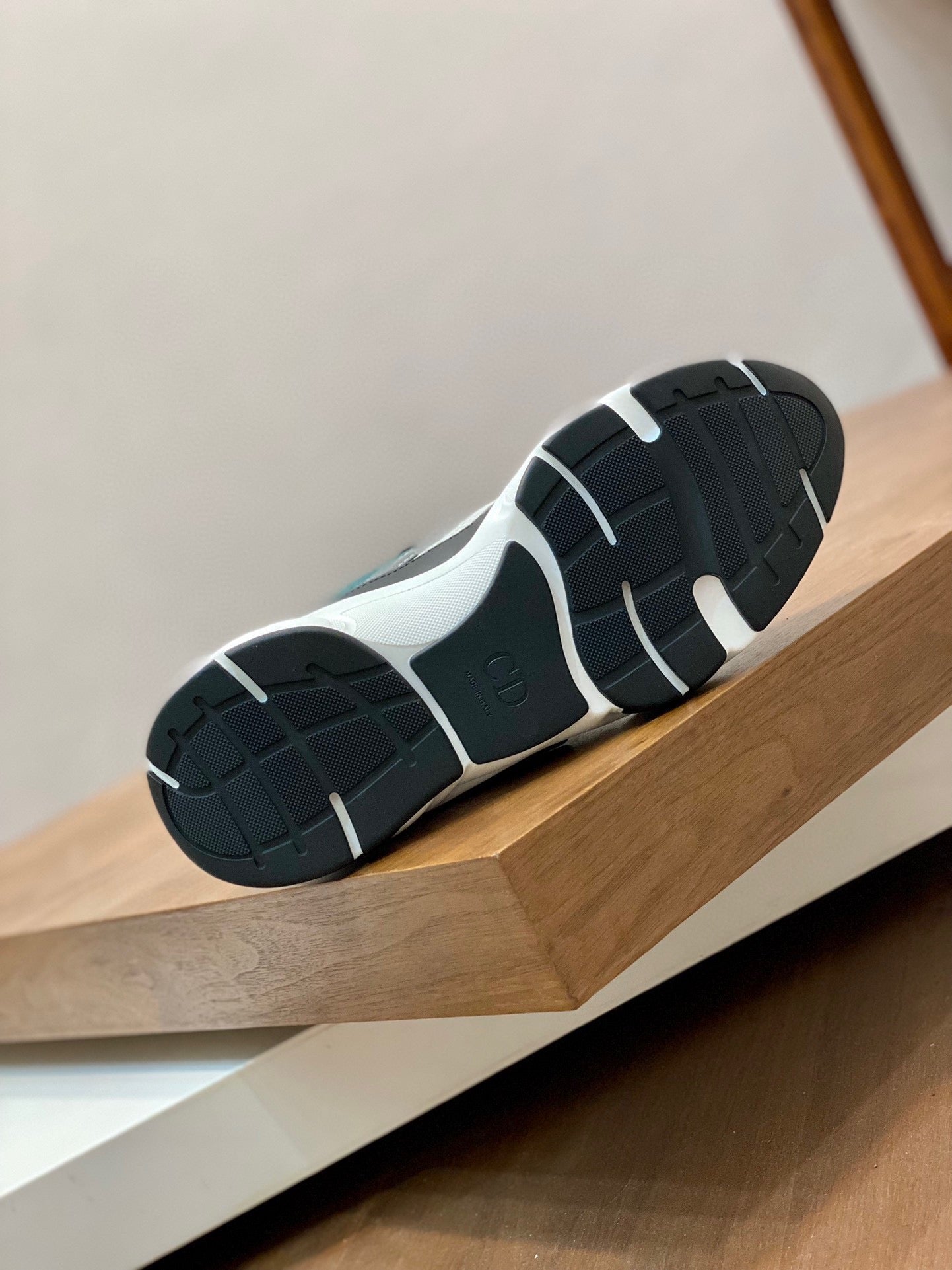DIOR sneakers 04