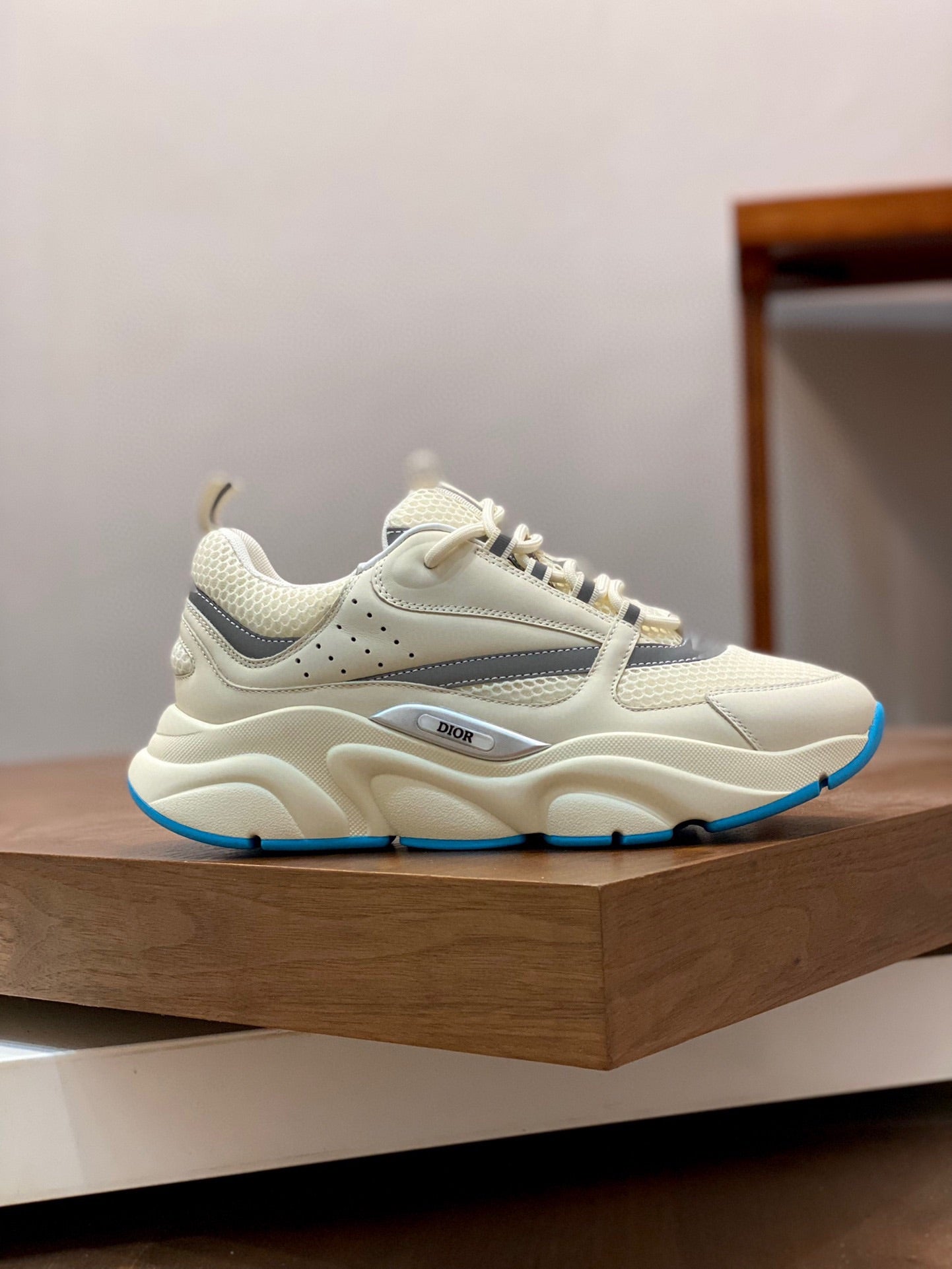 DIOR sneakers 08