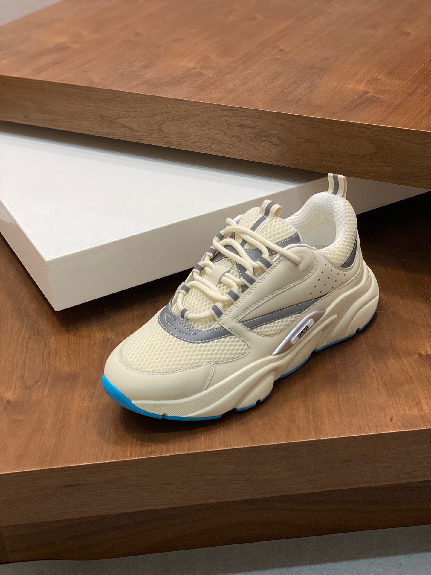 DIOR sneakers 08
