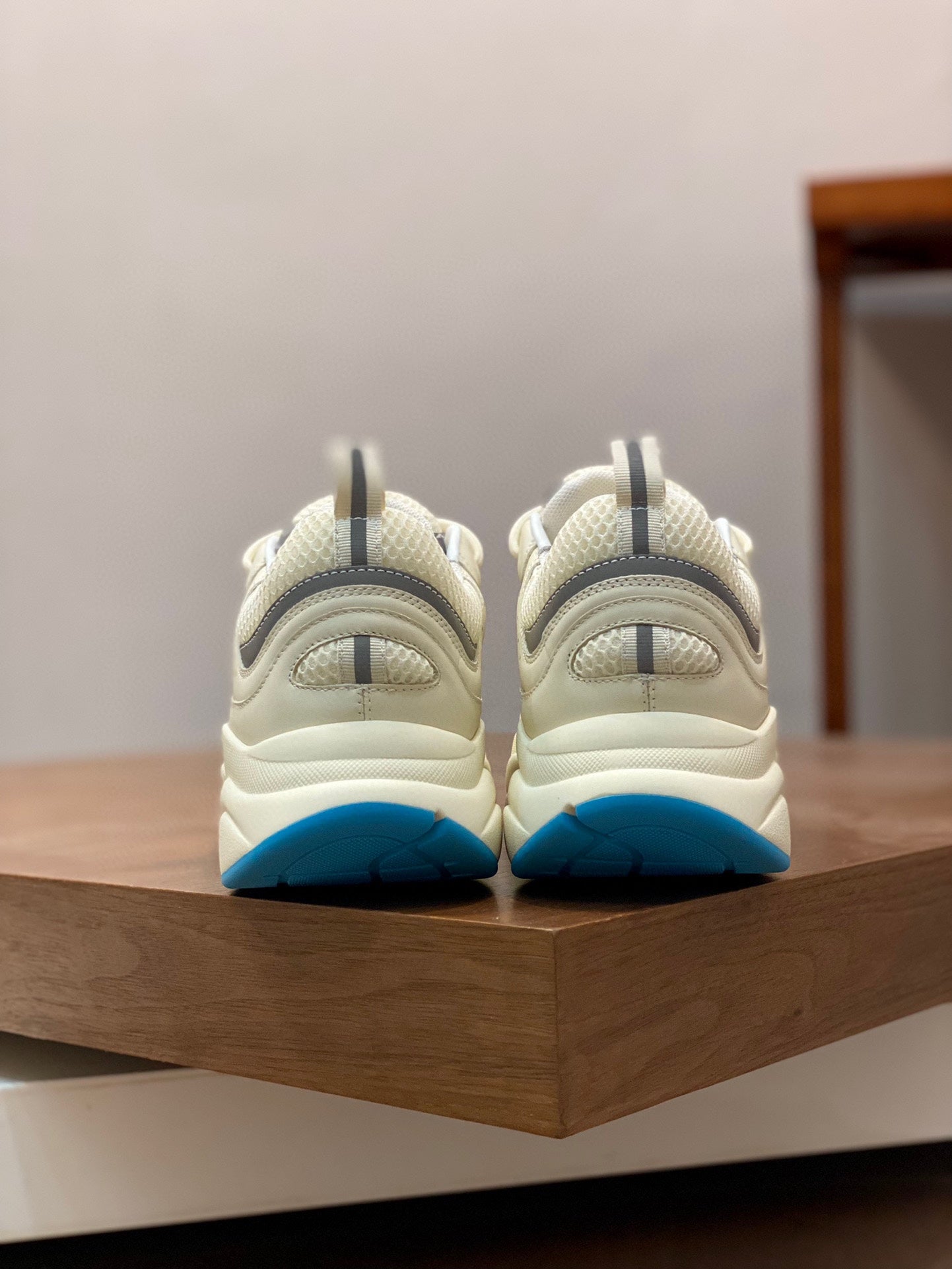 DIOR sneakers 08
