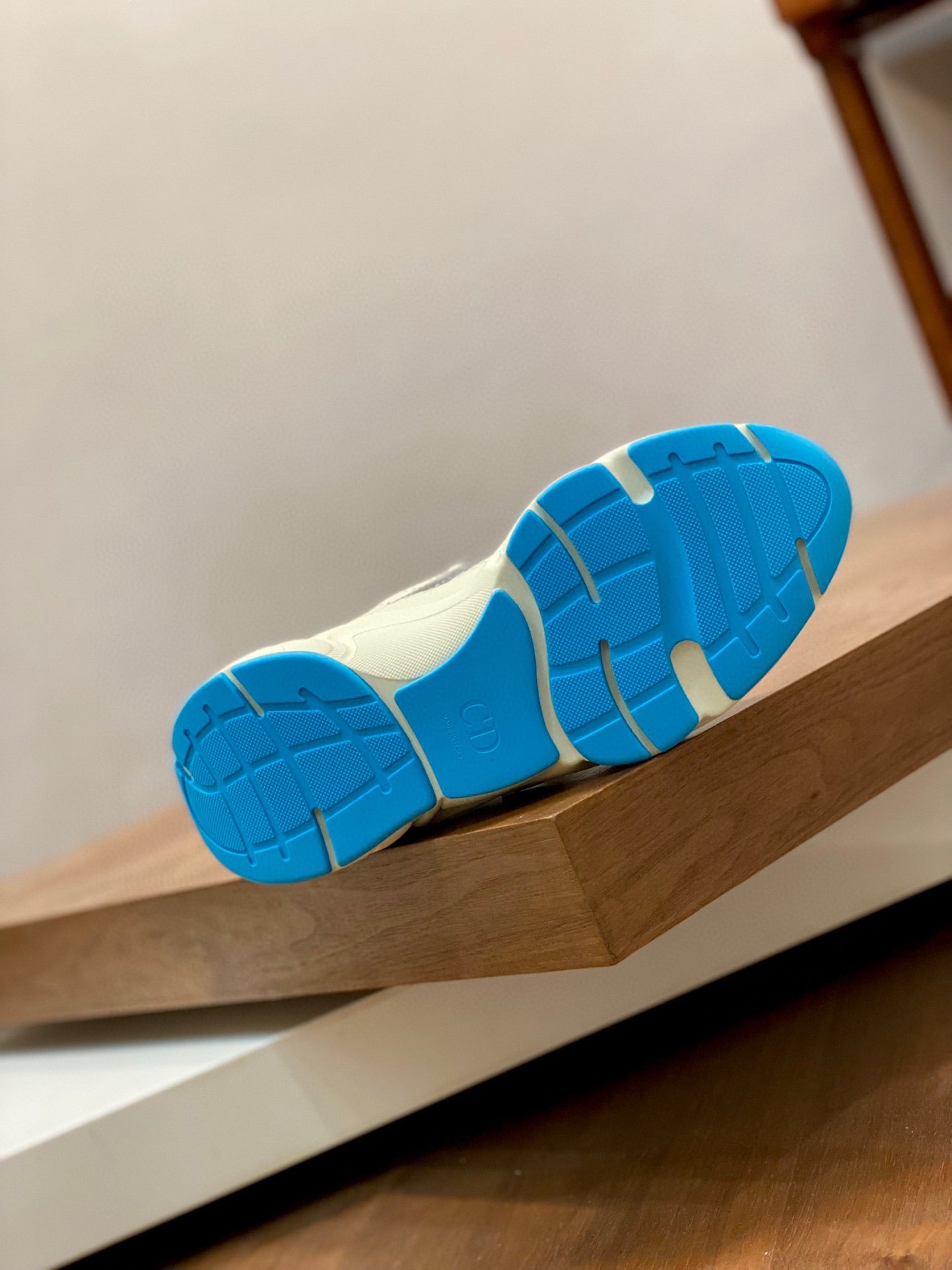 DIOR sneakers 08