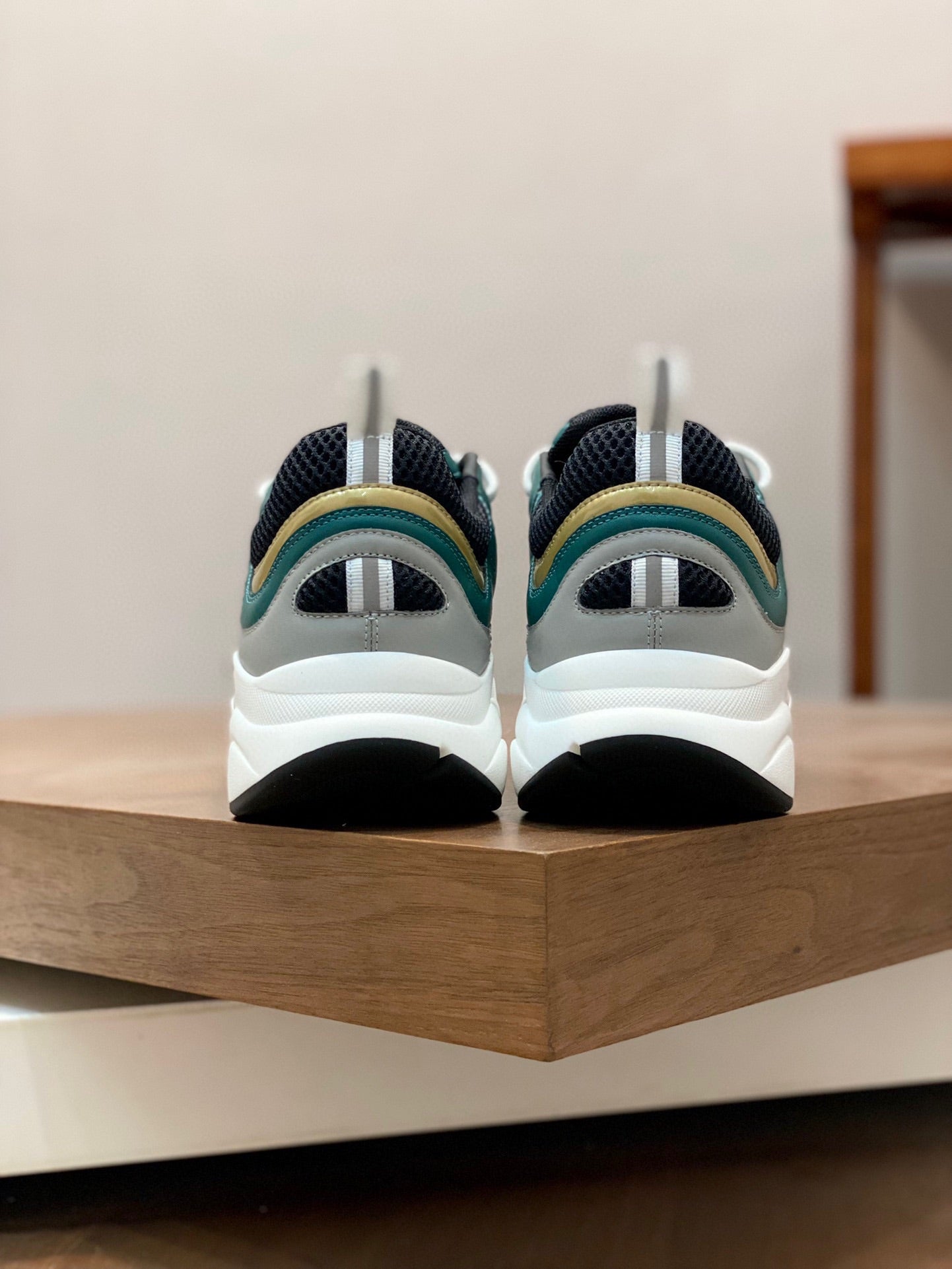 DIOR sneakers 09