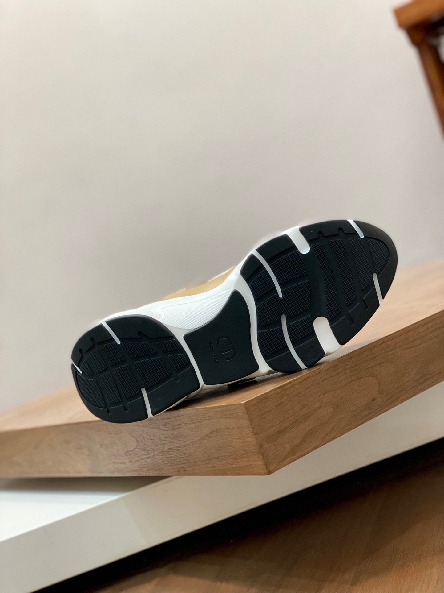 DIOR sneakers 10