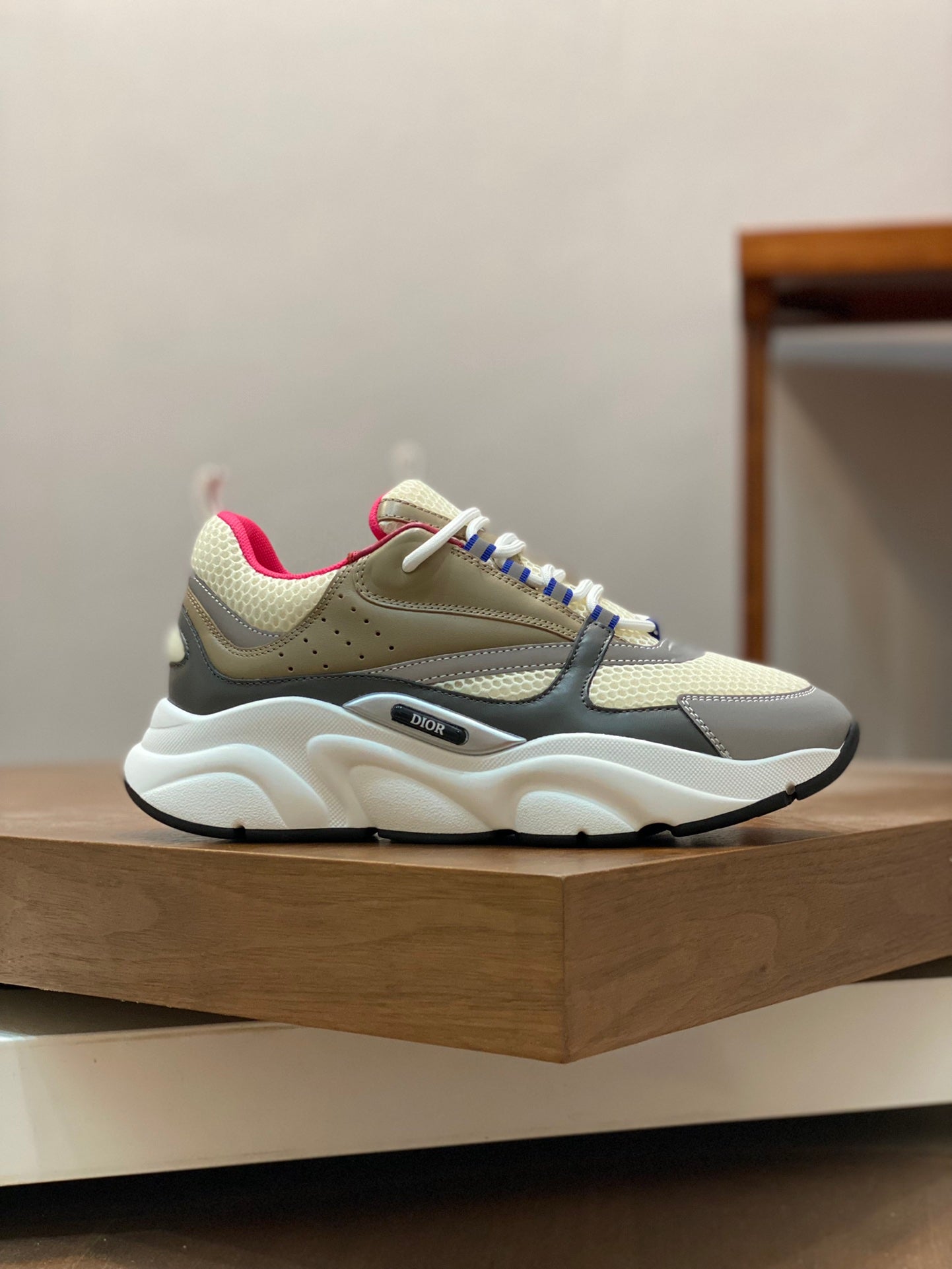 DIOR sneakers 13