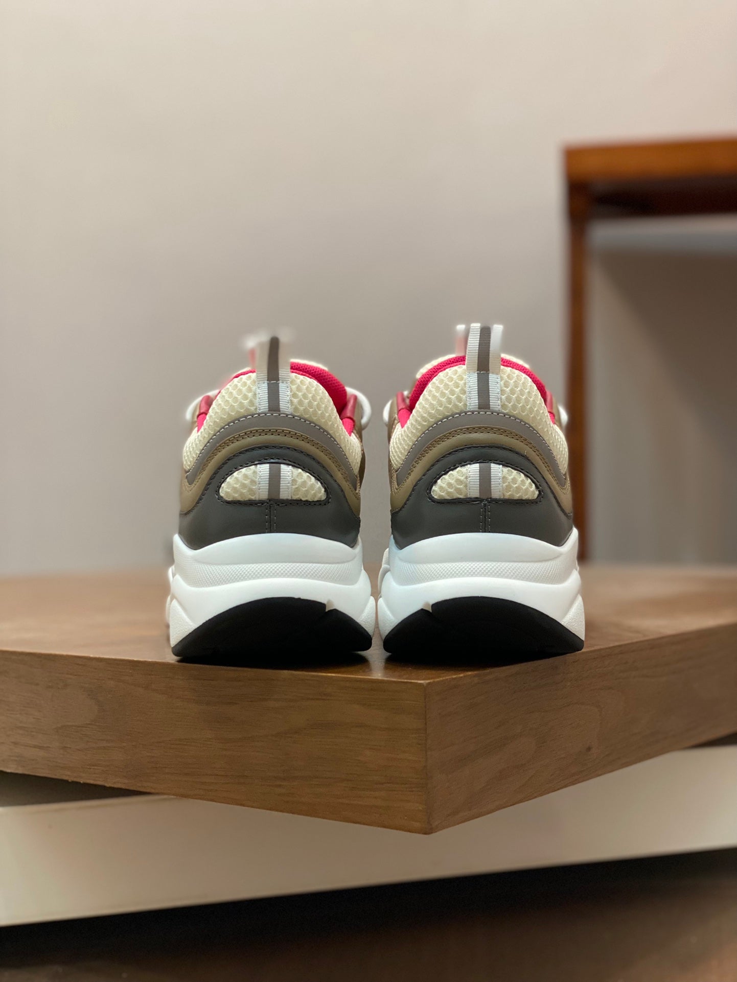 DIOR sneakers 13