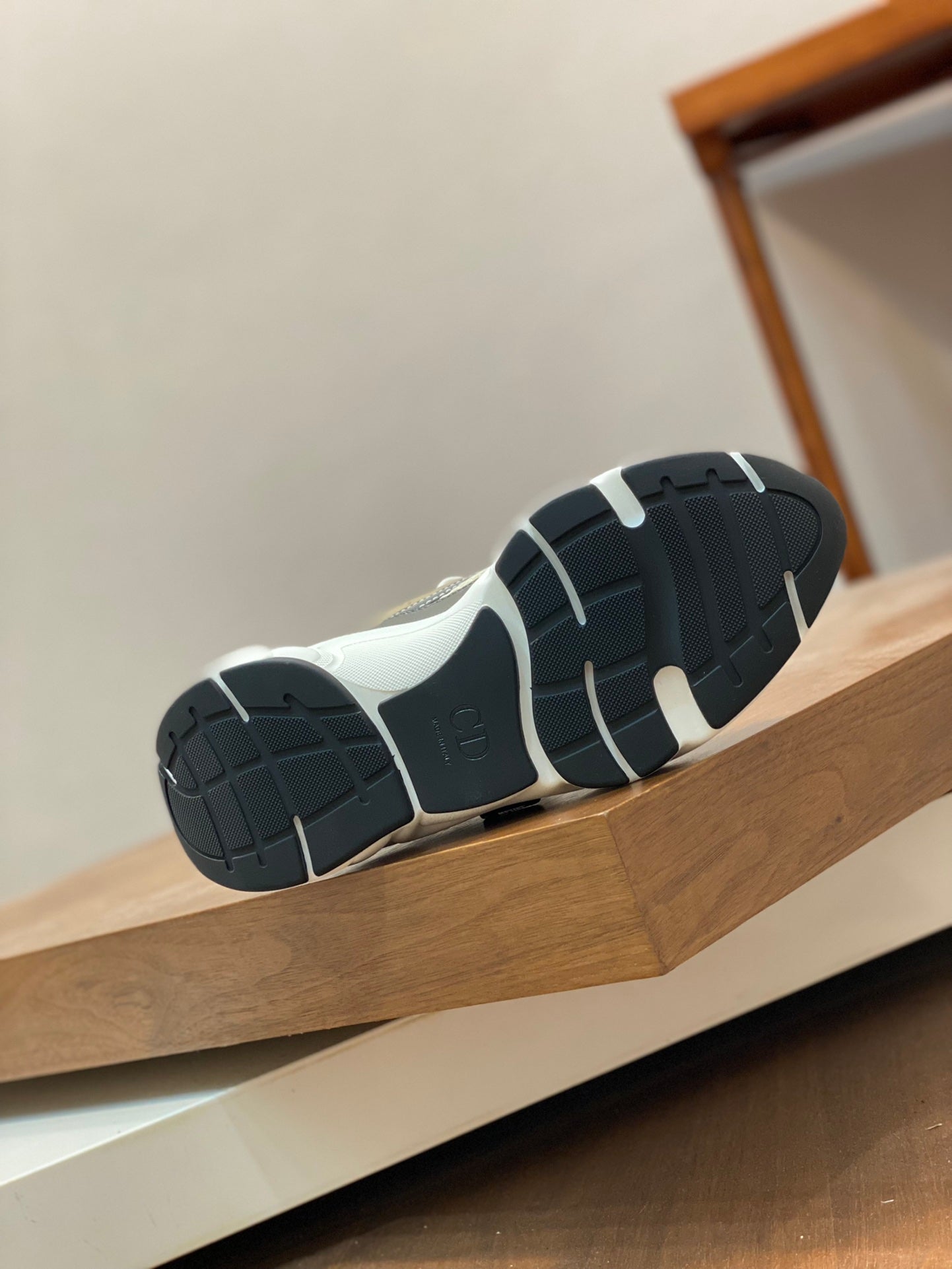 DIOR sneakers 13