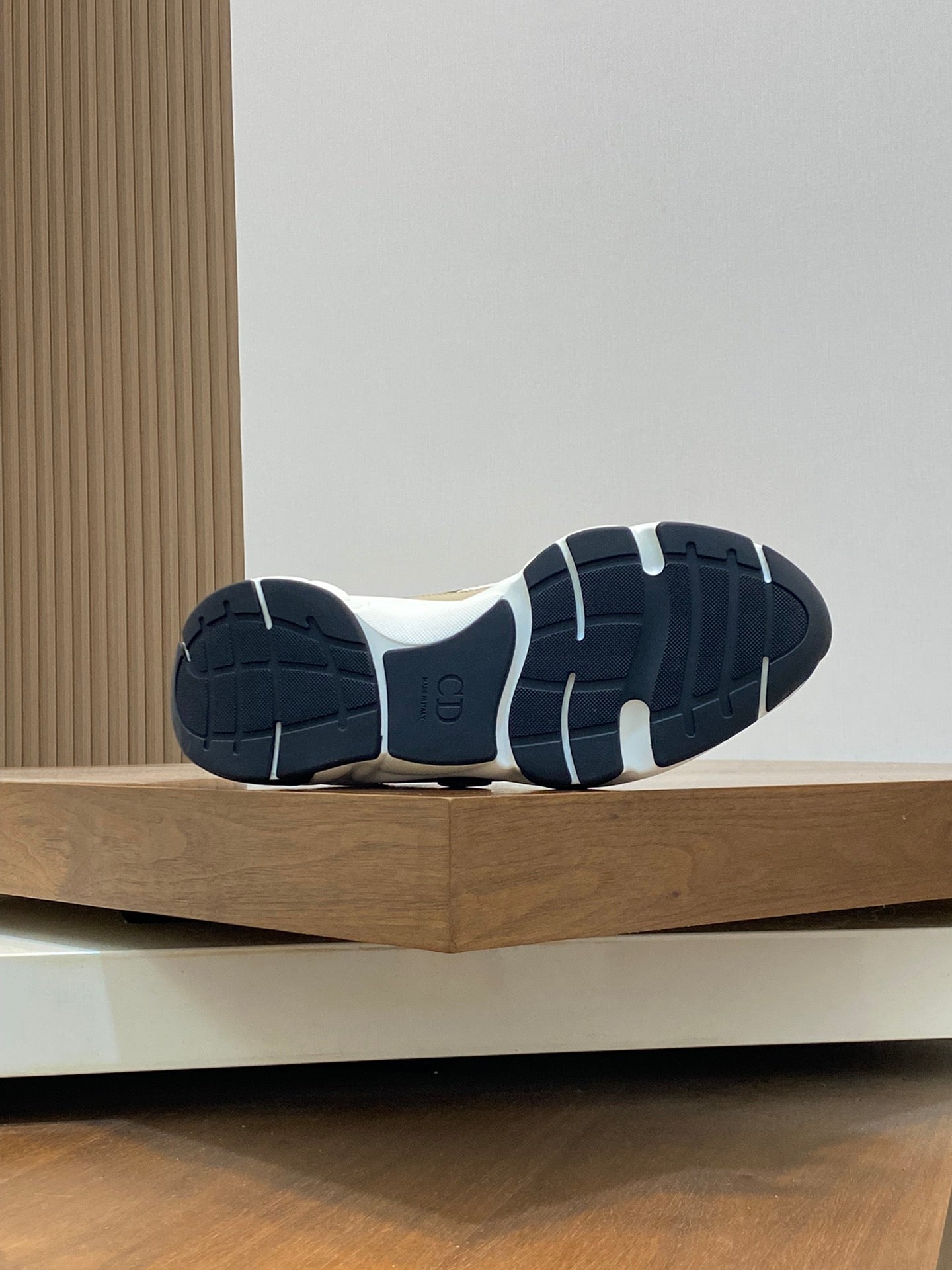 DIOR sneakers 21