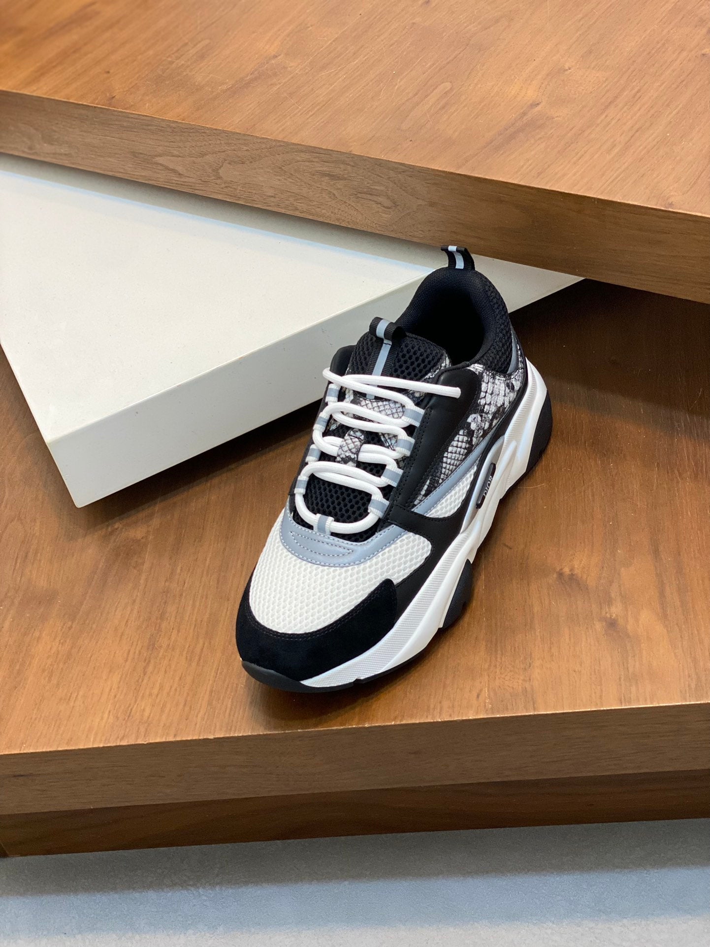 DIOR sneakers 22