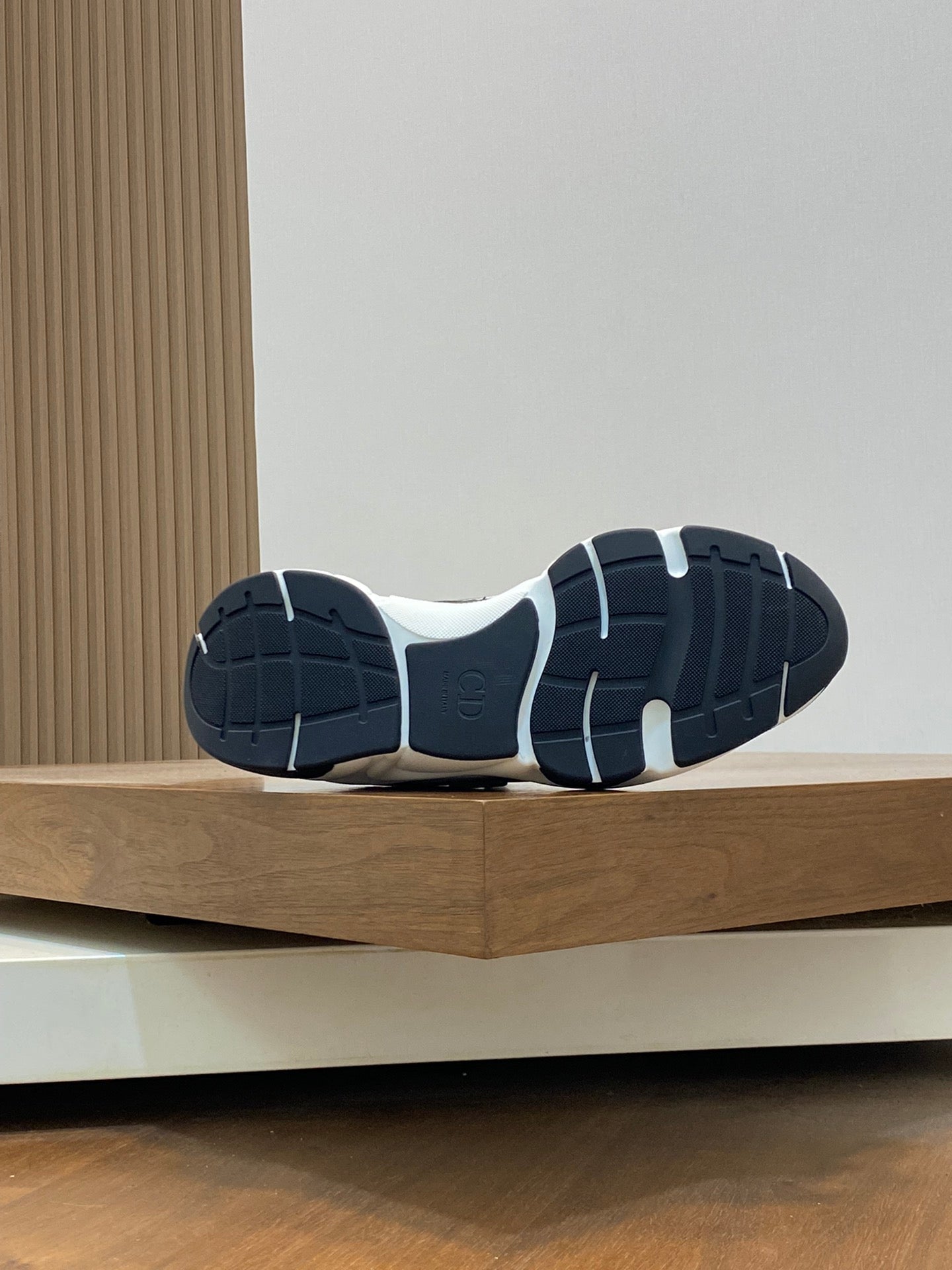 DIOR sneakers 22