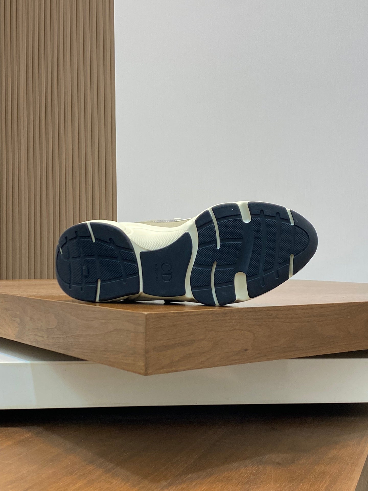 DIOR sneakers 24