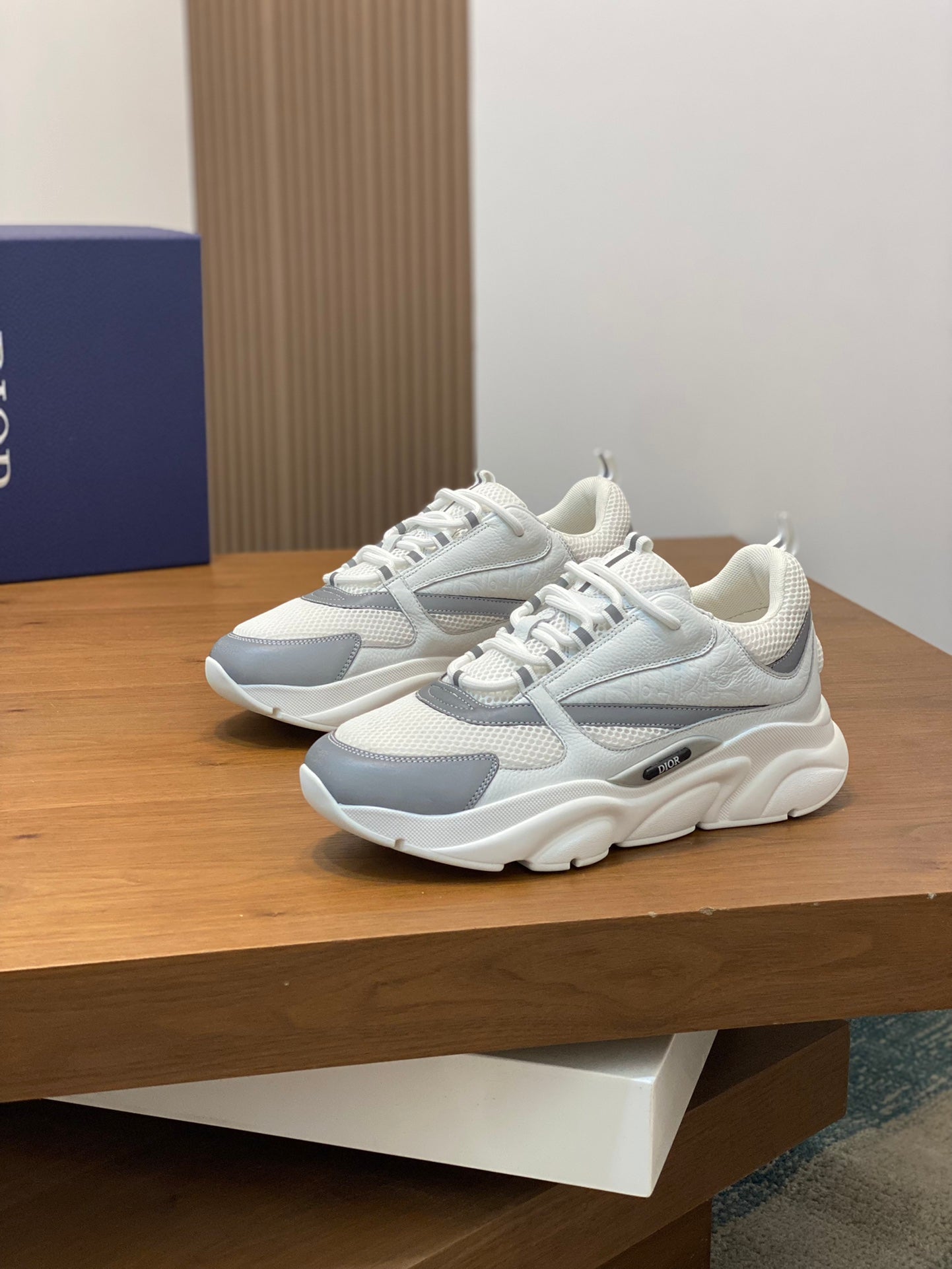 DIOR sneakers 27