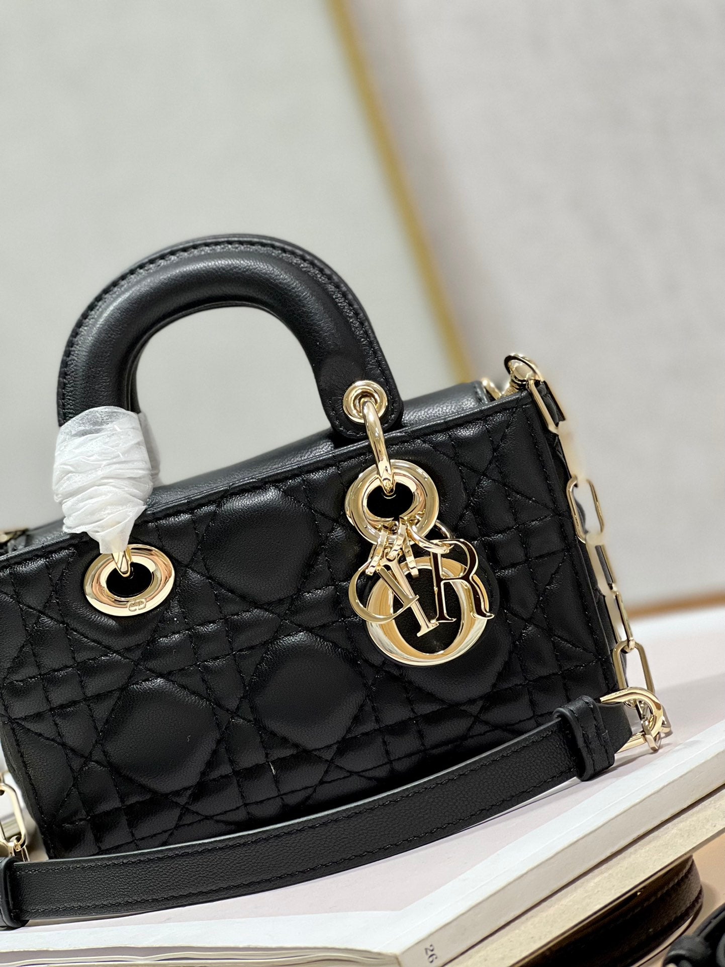 DIOR women's bags 3