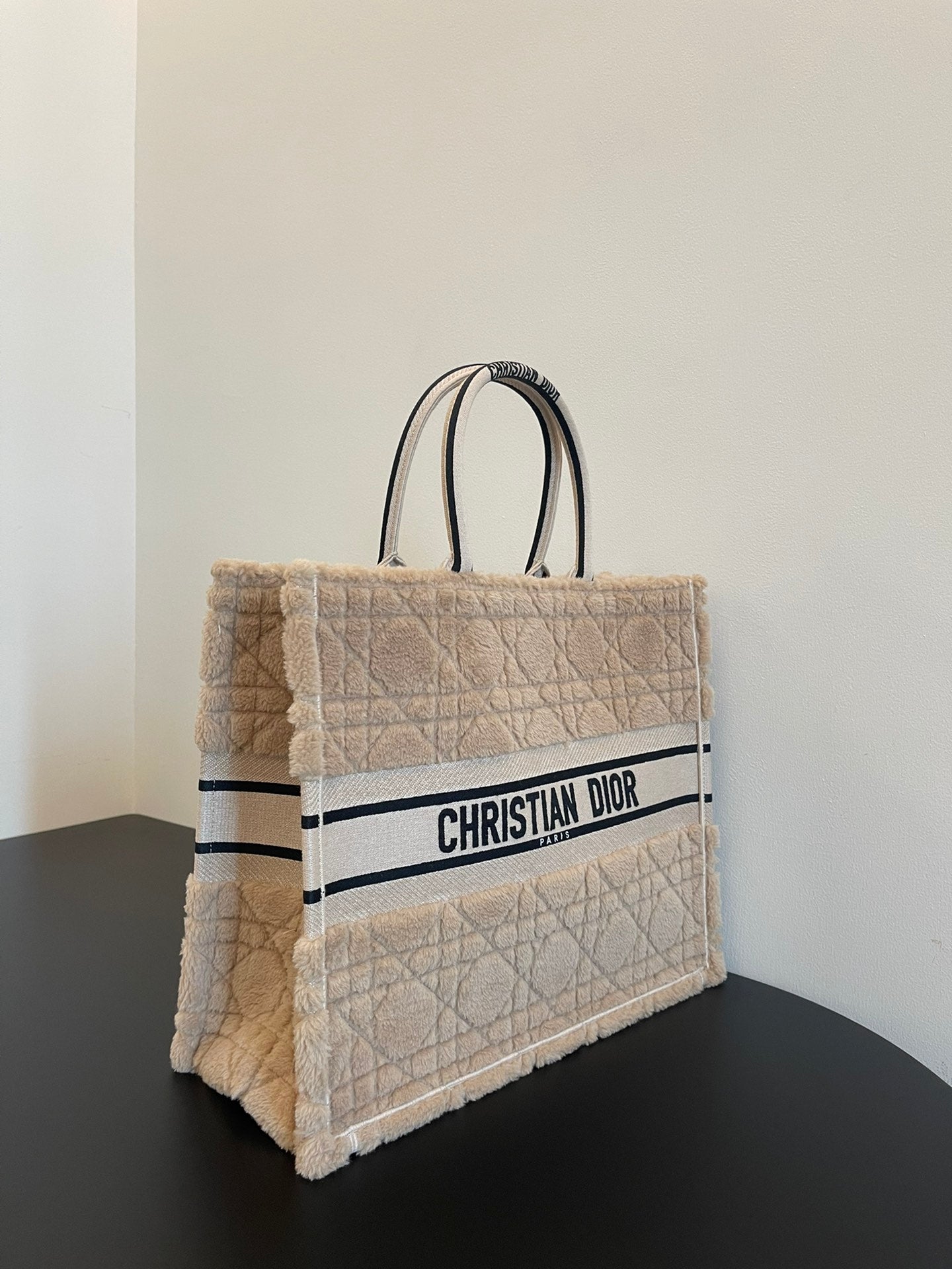 DIOR women's bags 11