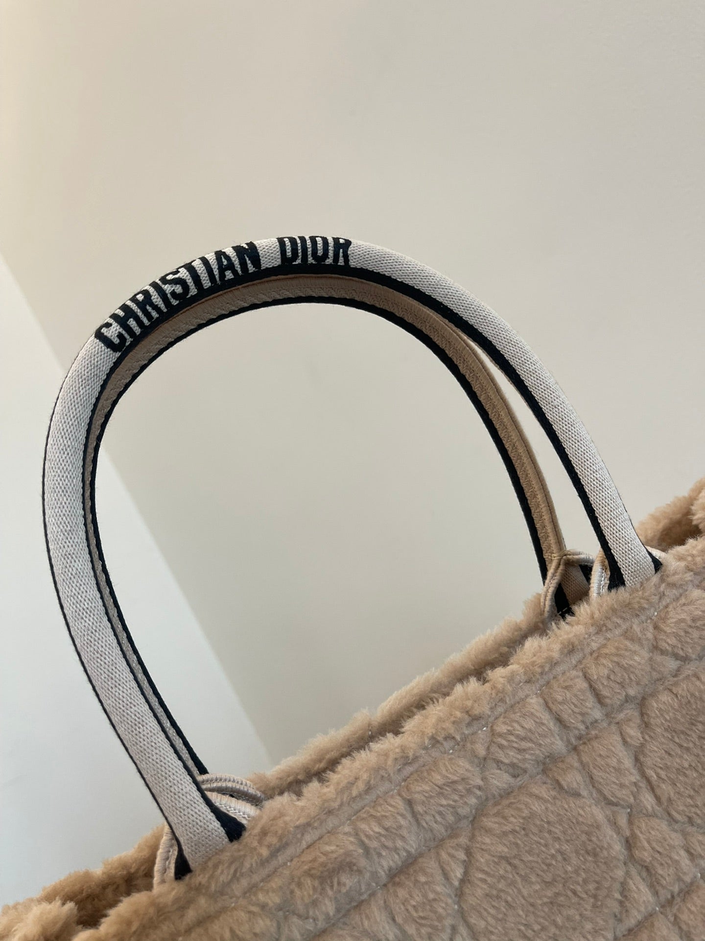 DIOR women's bags 11