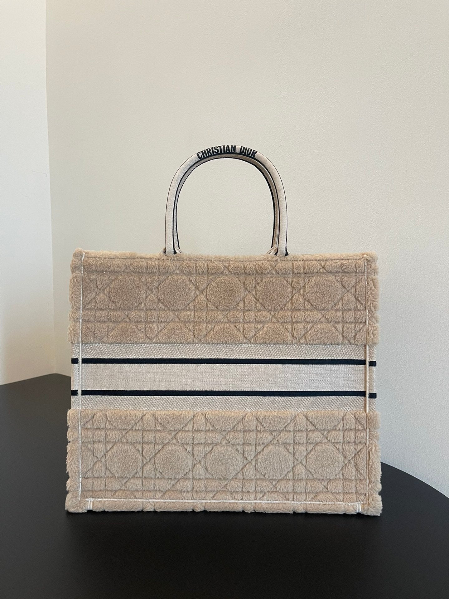 DIOR women's bags 11
