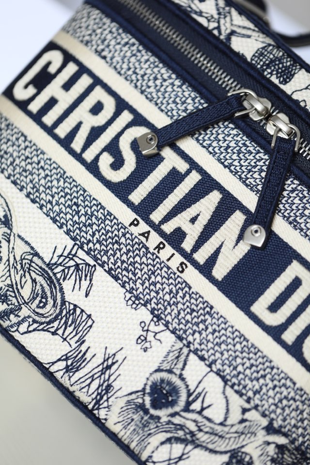 DIOR women's bags 14