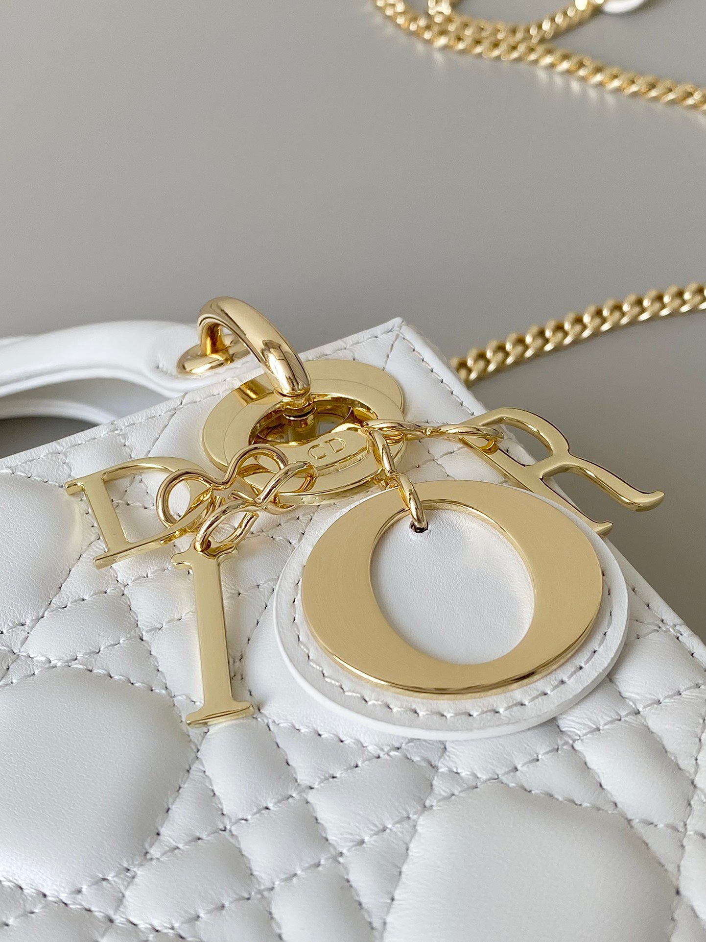 DIOR women's bags 23