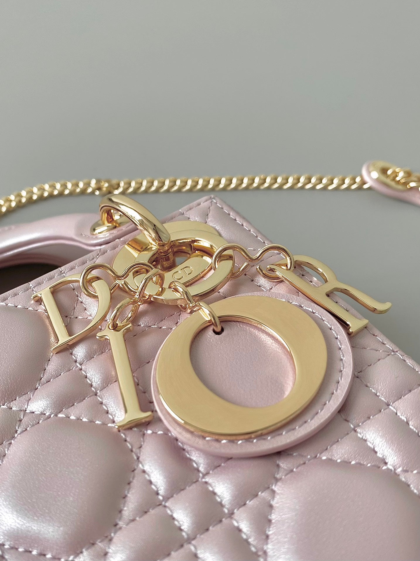 DIOR women's bags 24