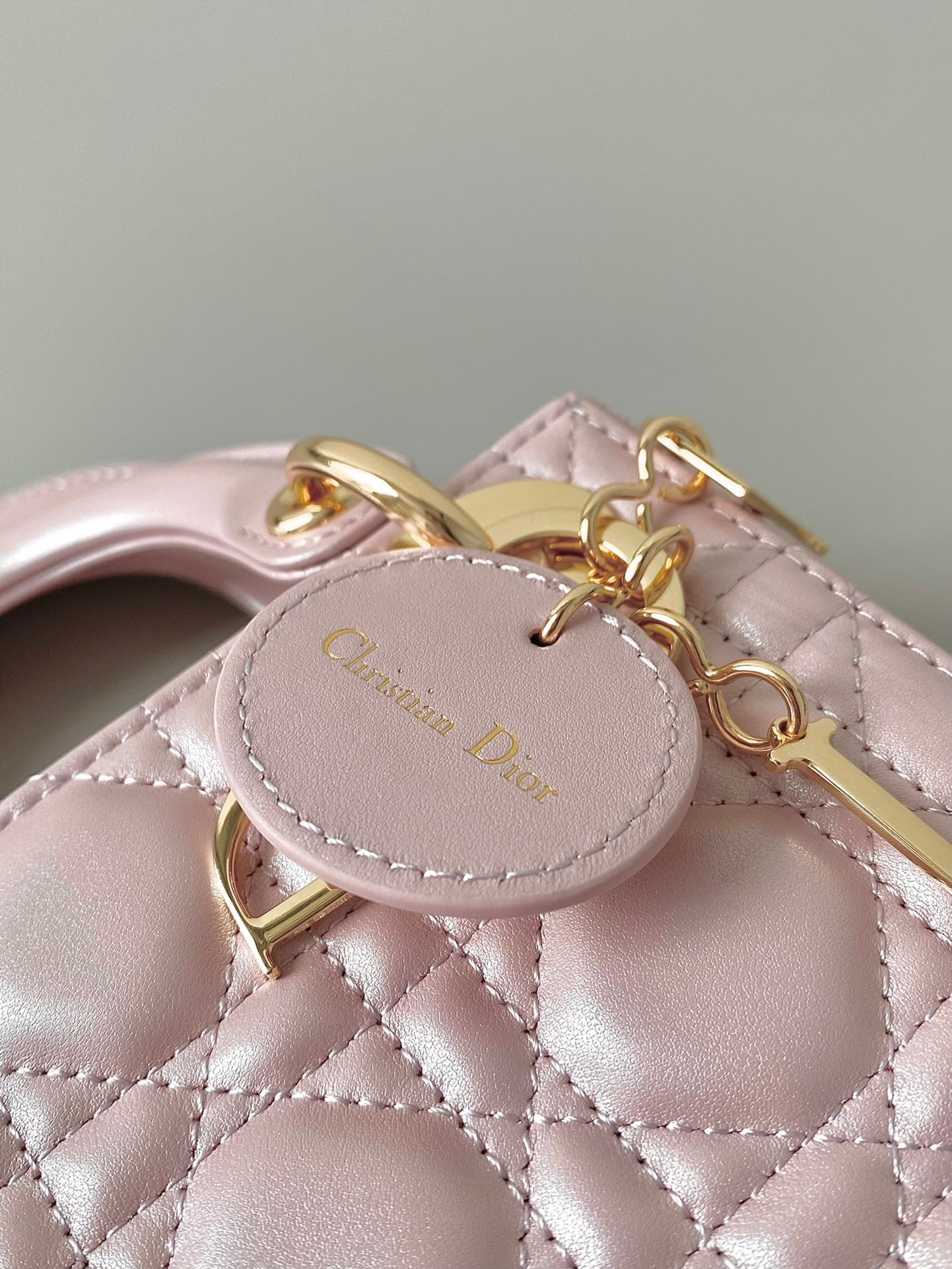DIOR women's bags 24