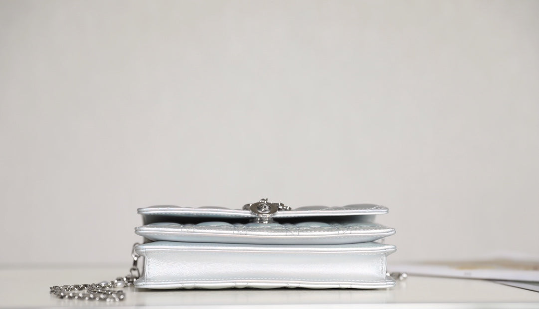 DIOR women's bags 35