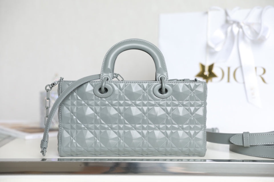 DIOR women's bags 41