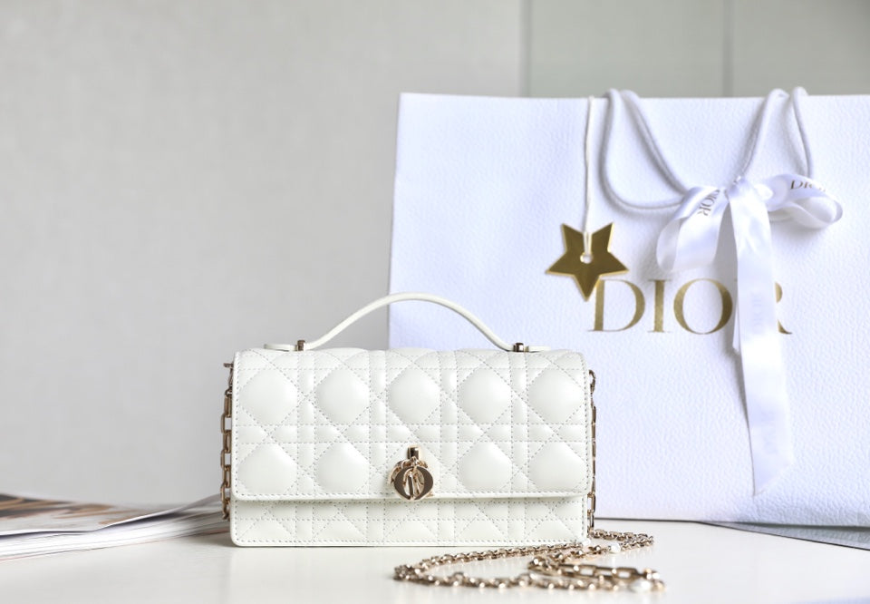 DIOR women's bags 50