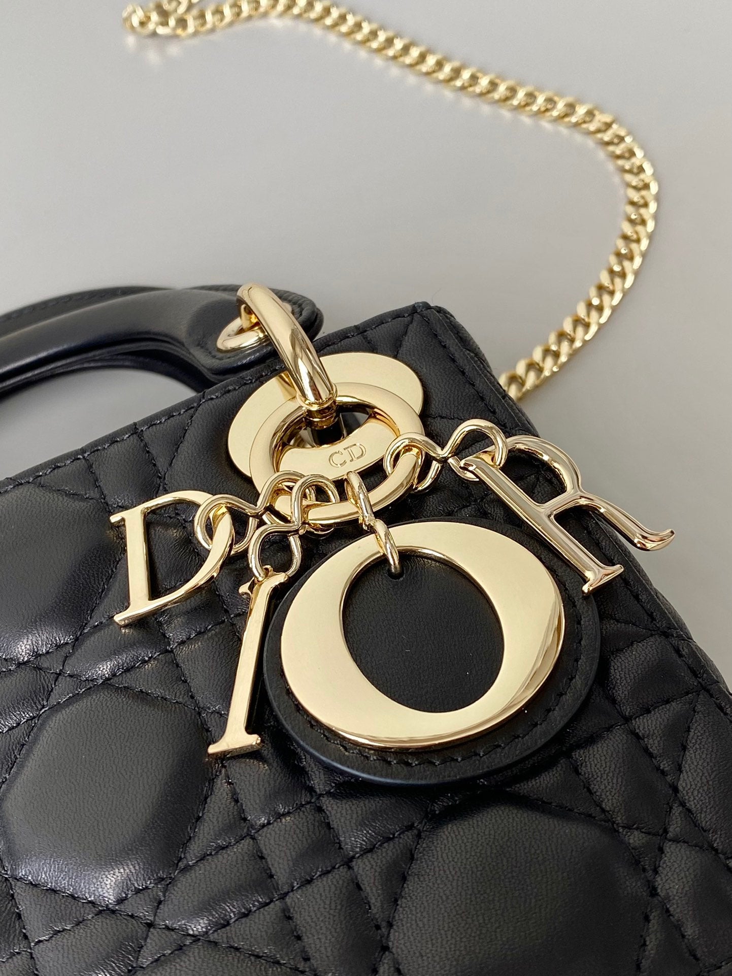 DIOR women's bags 69