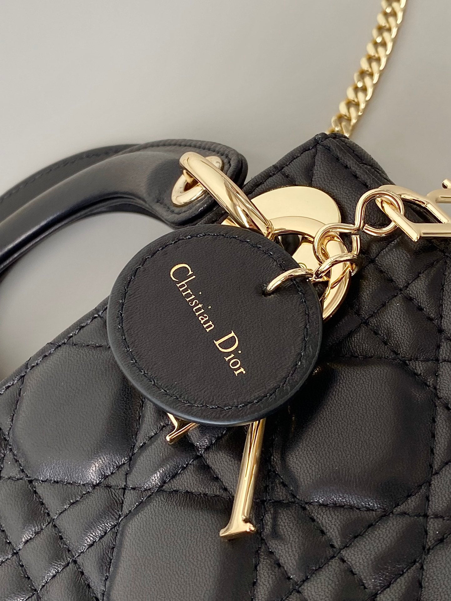 DIOR women's bags 69