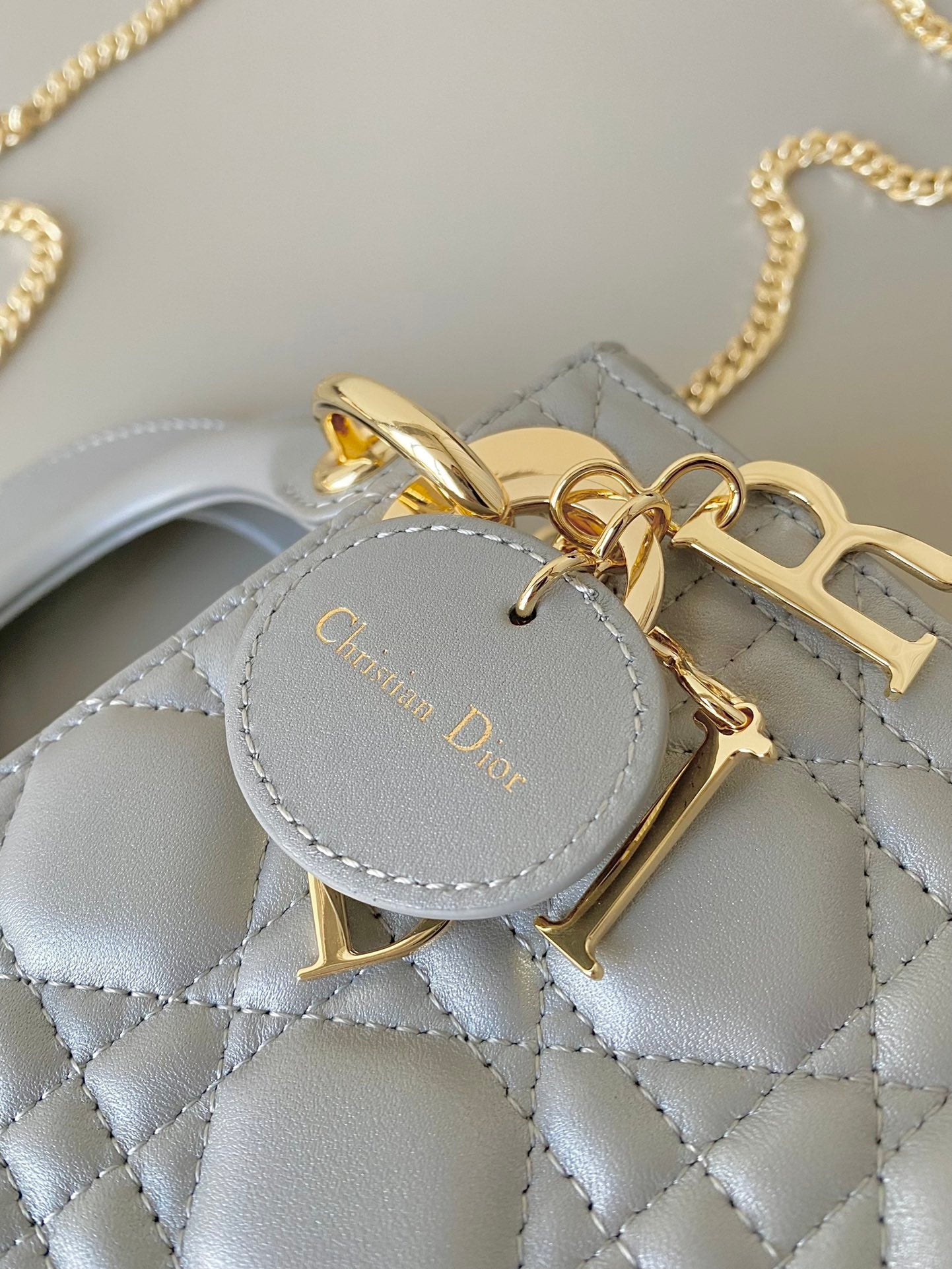 DIOR women's bags 71