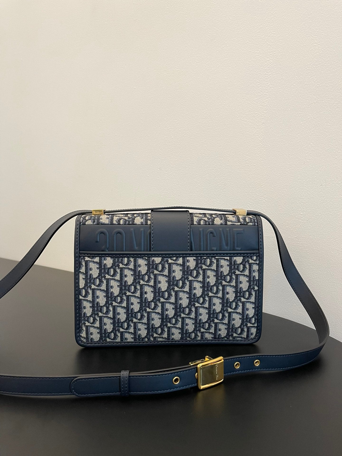DIOR women's bags 81