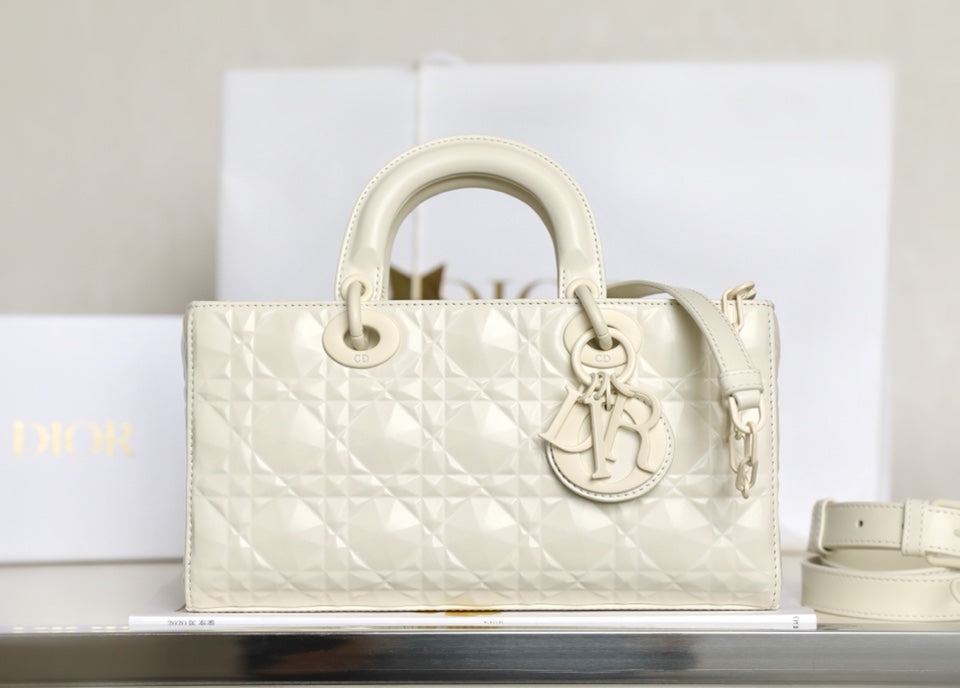 DIOR women's bags 92