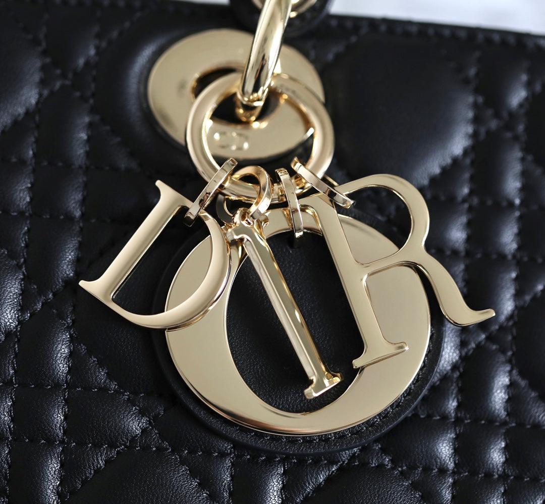 DIOR women's bags 93