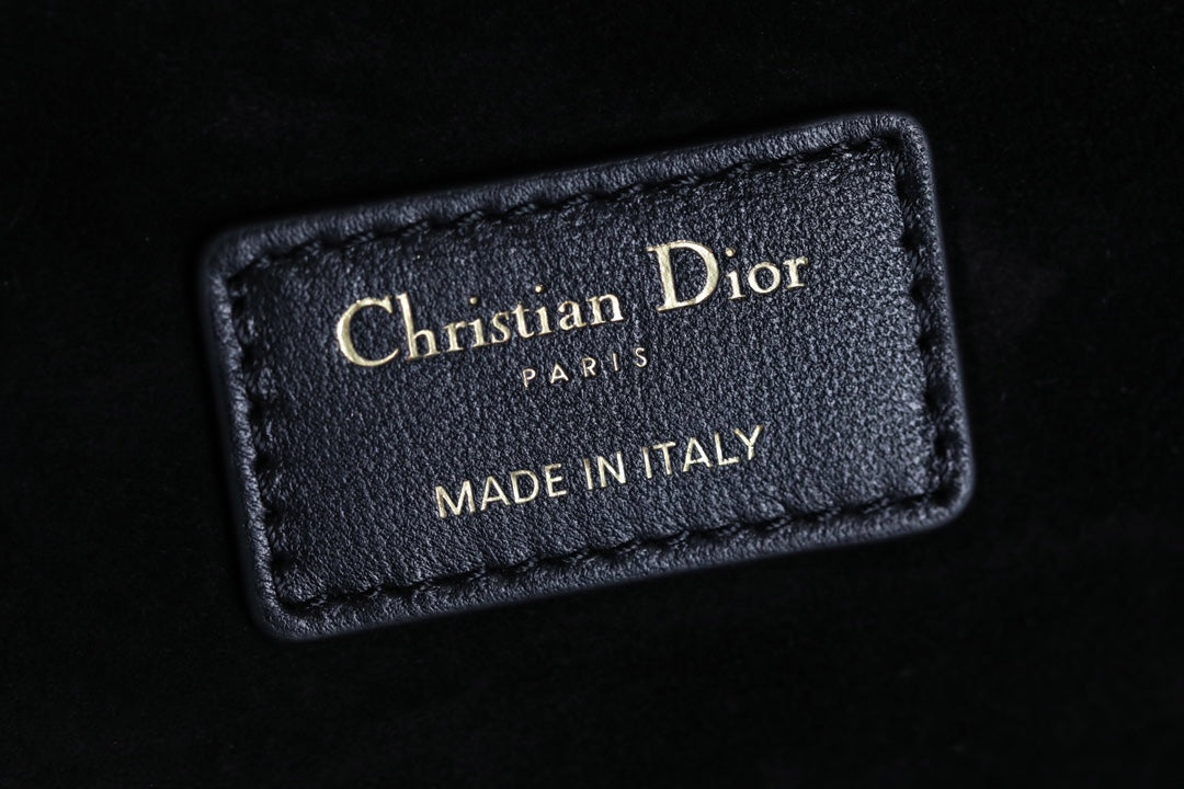 DIOR women's bags 93