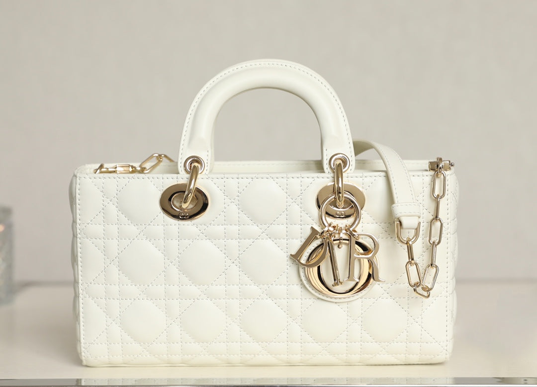 DIOR women's bags 94