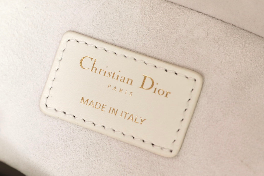 DIOR women's bags 94