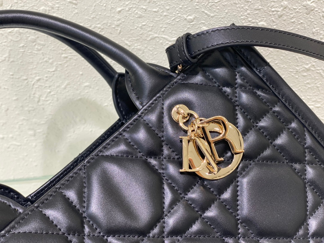 DIOR women's bags 97