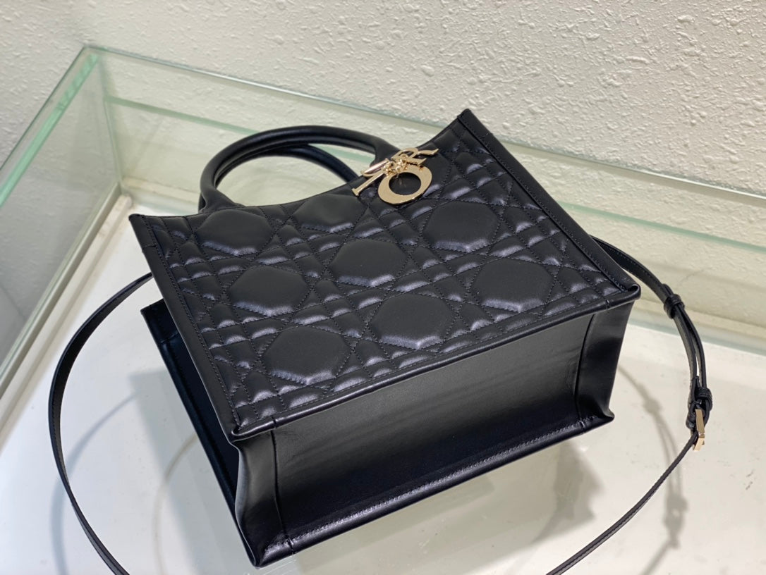 DIOR women's bags 97