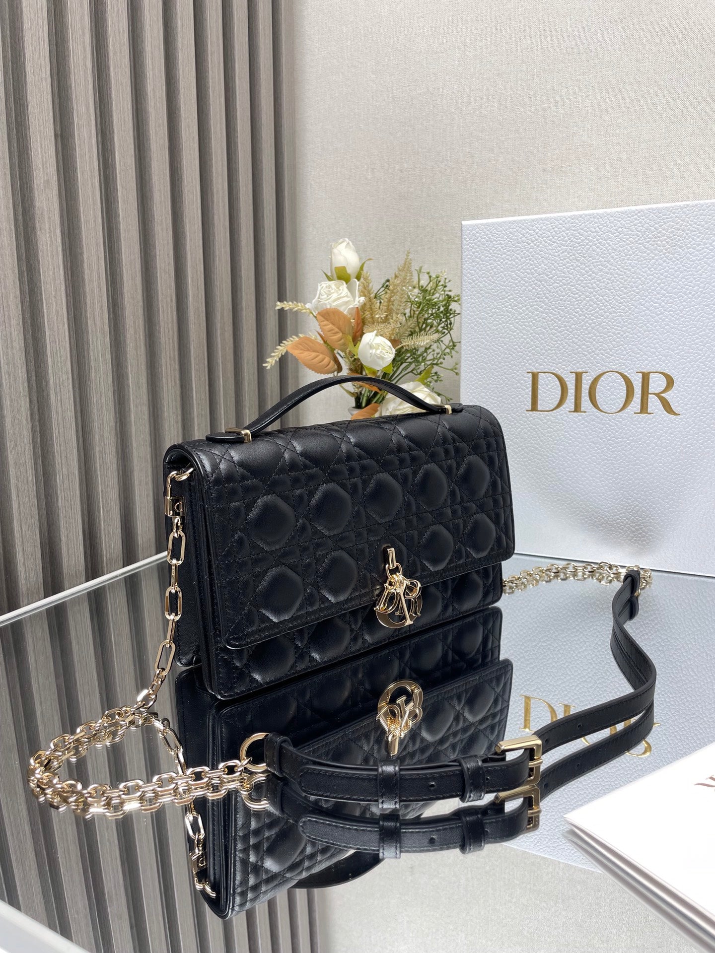 DIOR women's bags 100