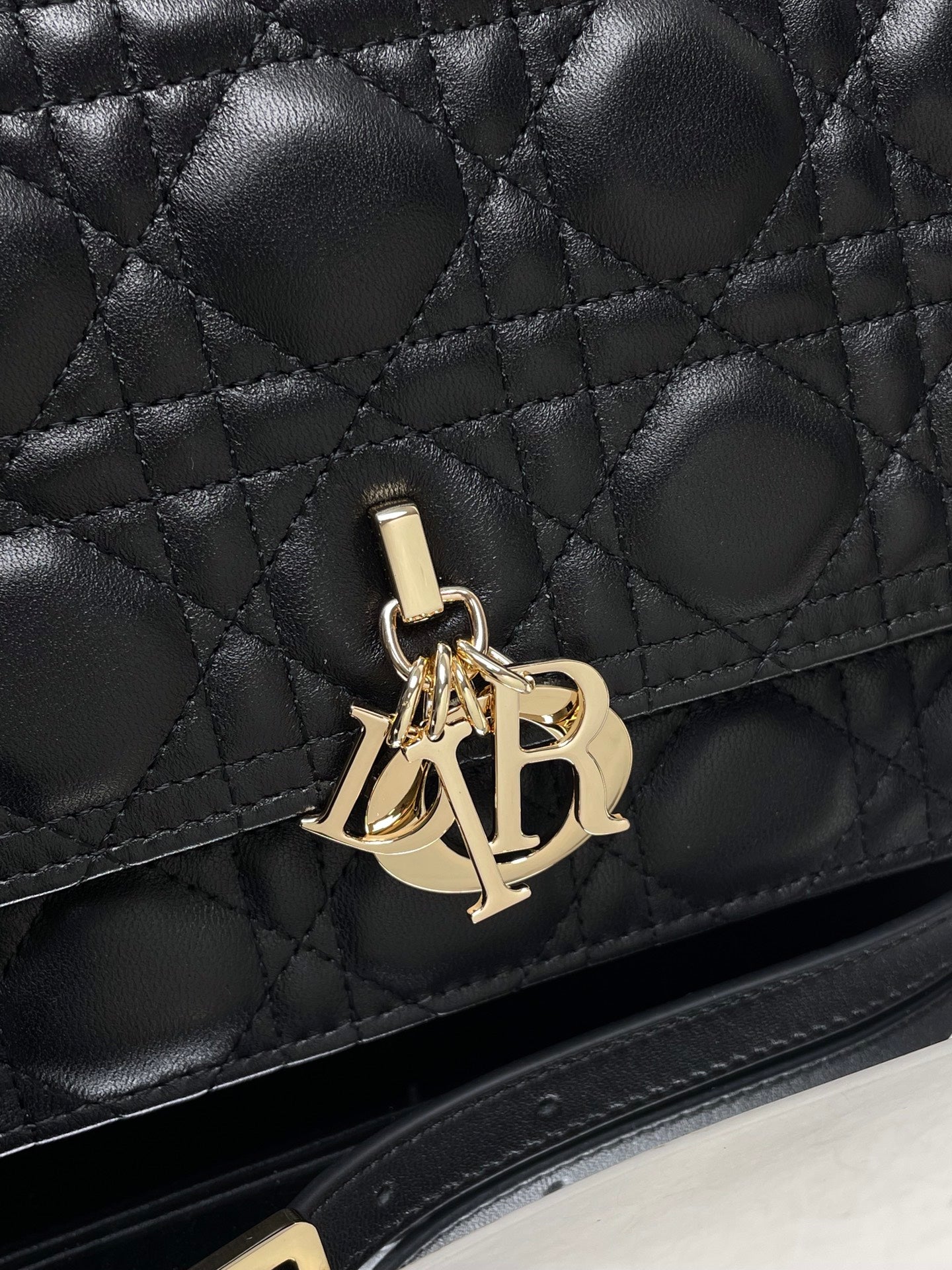 DIOR women's bags 100