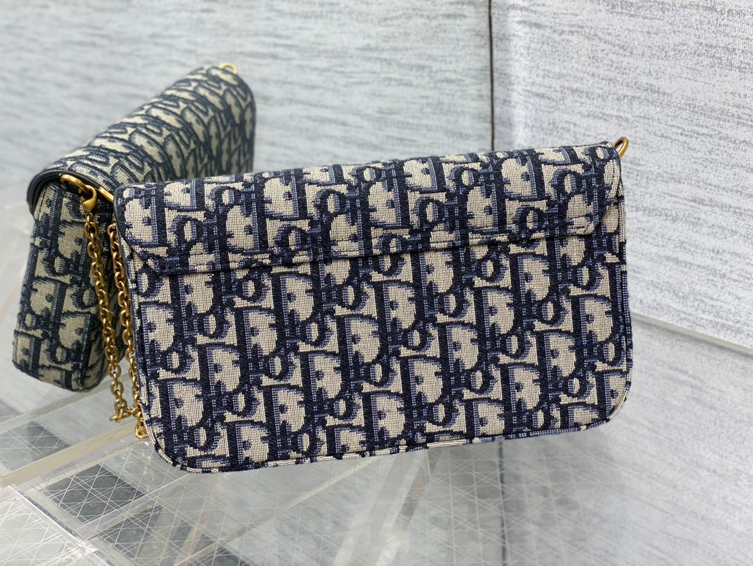 DIOR women's bags 101