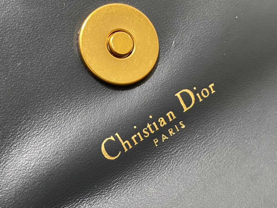 DIOR women's bags 101