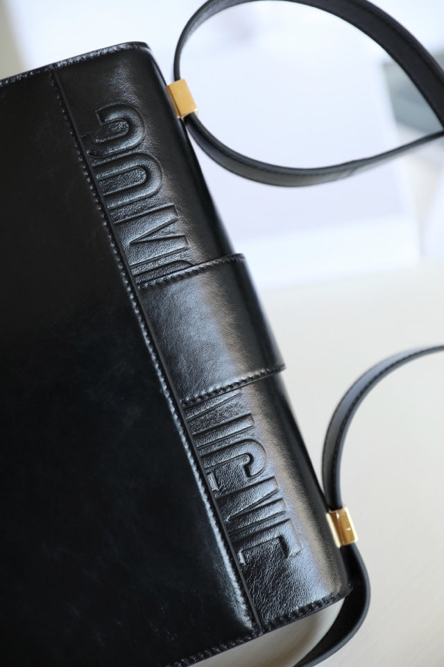 DIOR women's bags 104