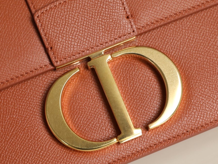 DIOR women's bags 110