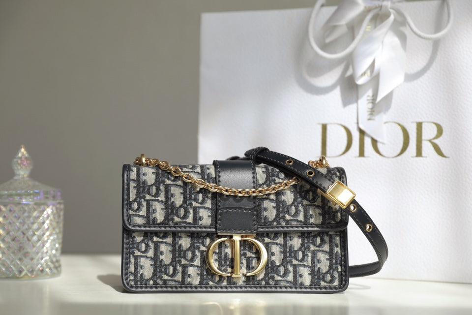 DIOR women's bags 111