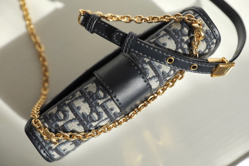 DIOR women's bags 111