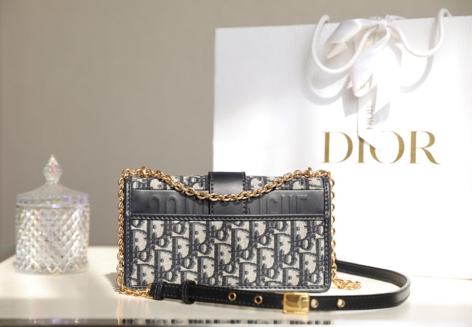 DIOR women's bags 111