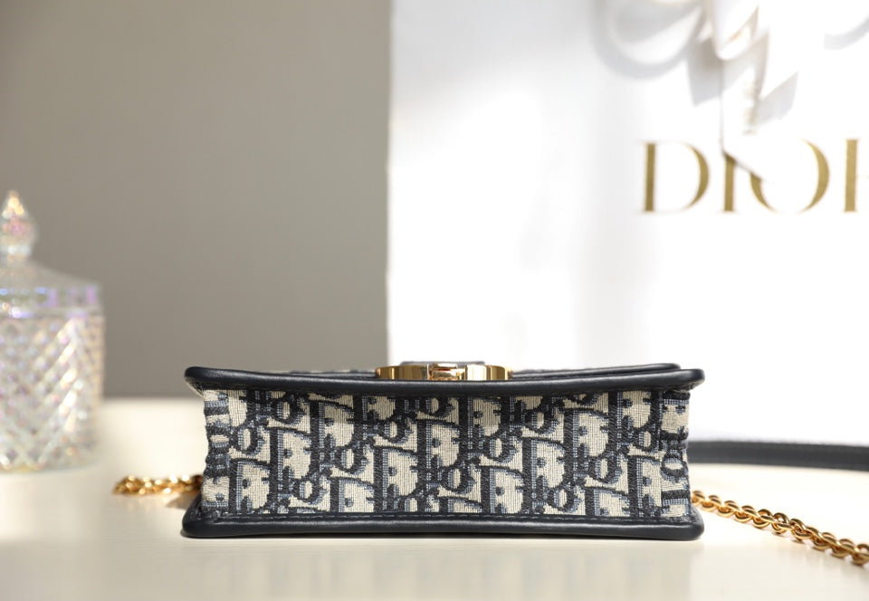 DIOR women's bags 111