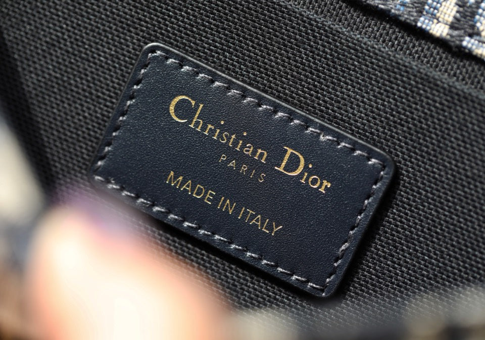 DIOR women's bags 111