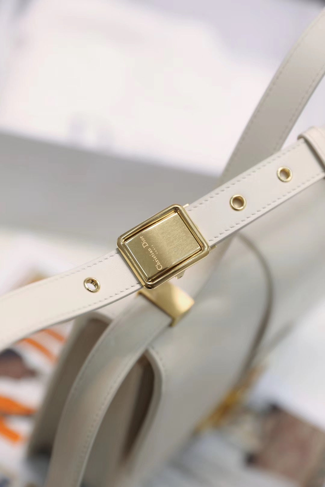 DIOR women's bags 112